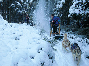 MZ42 Ballade Closdelavalleeblanche